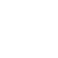 stpi